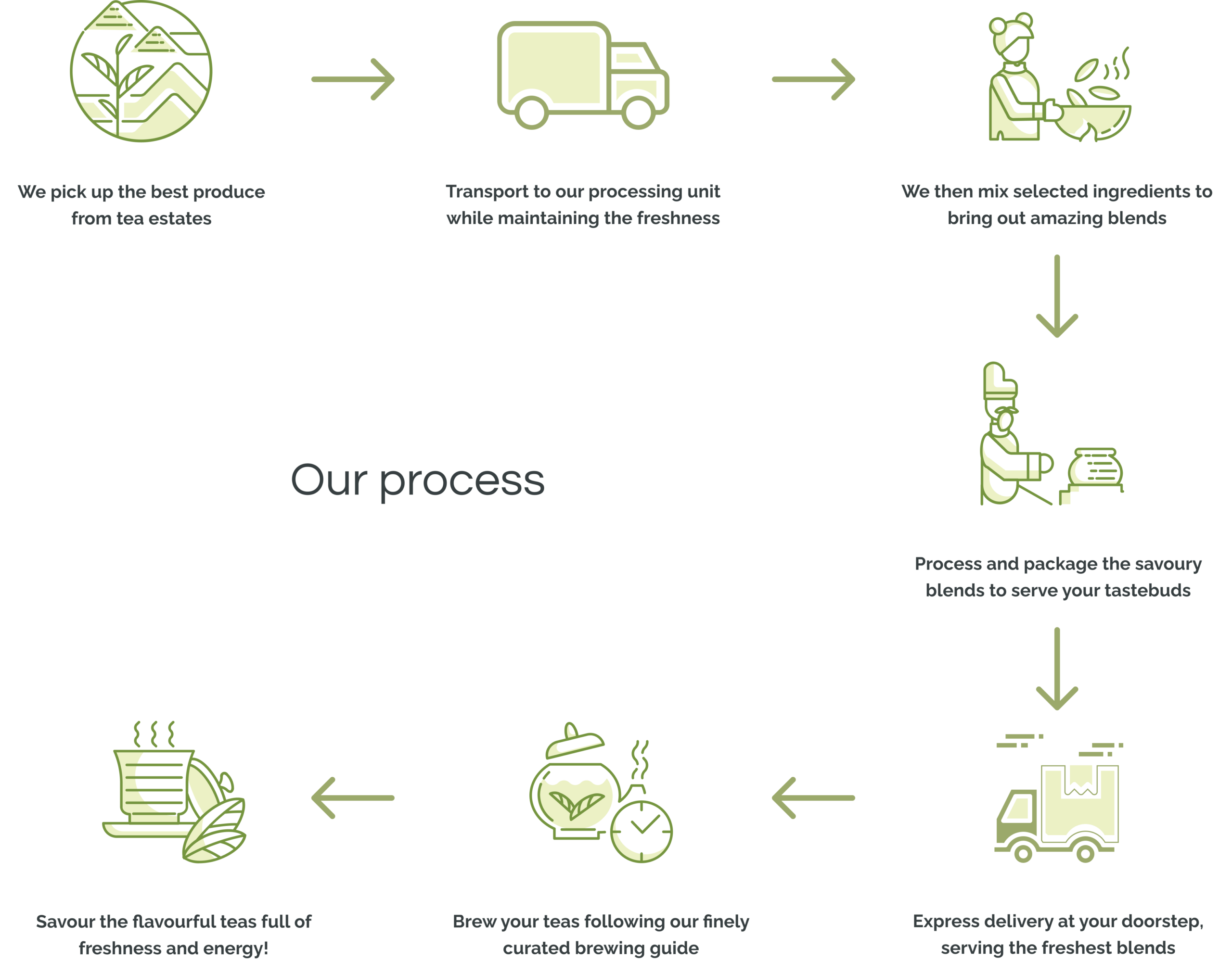 our green tea making process