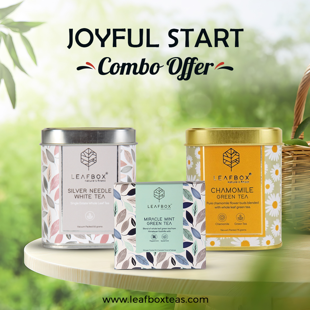 FRESH PERSPECTIVE BUNDLE